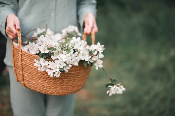 Flores Maçã Uma Cesta Vime Mão Uma Mulher Primavera — Fotografia de Stock