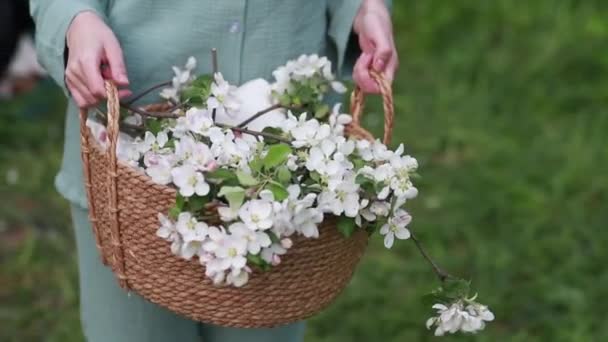 Una Niña Sostiene Mano Una Bolsa Mimbre Con Ramas Manzano — Vídeos de Stock