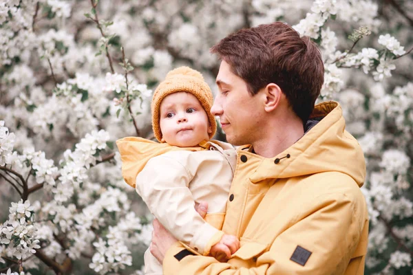 Padre Hijo Exuberante Jardín Junto Los Manzanos Primavera — Foto de Stock