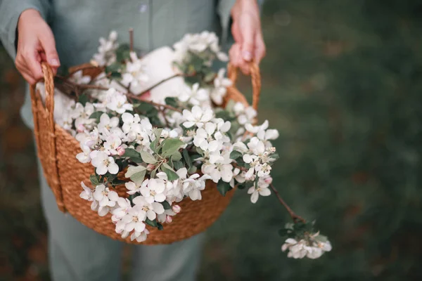 Flores Maçã Uma Cesta Vime Mão Uma Mulher Primavera — Fotografia de Stock