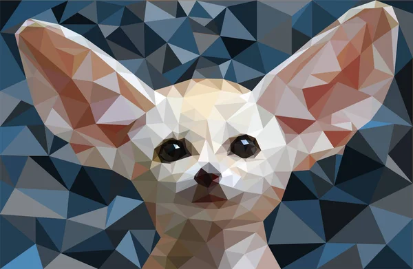 Lage poly fox Fennec Vector Illustratie — Stockvector