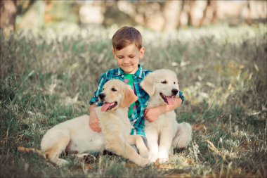 İskambil ile tam Umudunu kaybetme yaz güneşli gün tatil hafta sonu zevk inanılmaz beyaz pembe labrador retriever köpek yavrusu ile açık mavi gözlü yakışıklı yakışıklı genç. En iyi arkadaşı ile gülümseyen çocuk mutlu