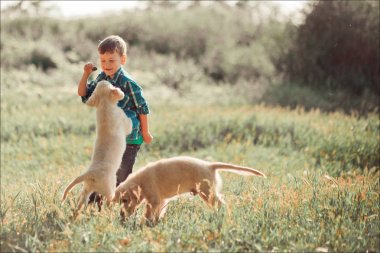 İskambil ile tam Umudunu kaybetme yaz güneşli gün tatil hafta sonu zevk inanılmaz beyaz pembe labrador retriever köpek yavrusu ile açık mavi gözlü yakışıklı yakışıklı genç. En iyi arkadaşı ile gülümseyen çocuk mutlu