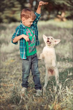 İskambil ile tam Umudunu kaybetme yaz güneşli gün tatil hafta sonu zevk inanılmaz beyaz pembe labrador retriever köpek yavrusu ile açık mavi gözlü yakışıklı yakışıklı genç. En iyi arkadaşı ile gülümseyen çocuk mutlu