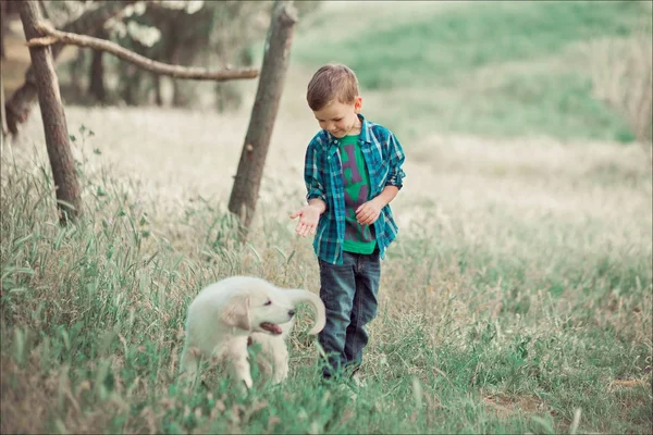 Aranyos csinos fiú tini, kék szeme, szabadtéri játék csodálatos fehér rózsaszín labrador Vizsla kölyök élvezi nyári napos nyaralás hétvége a teljes boldogságot. Boldog mosolygó gyerek, a legjobb barátja — Stock Fotó