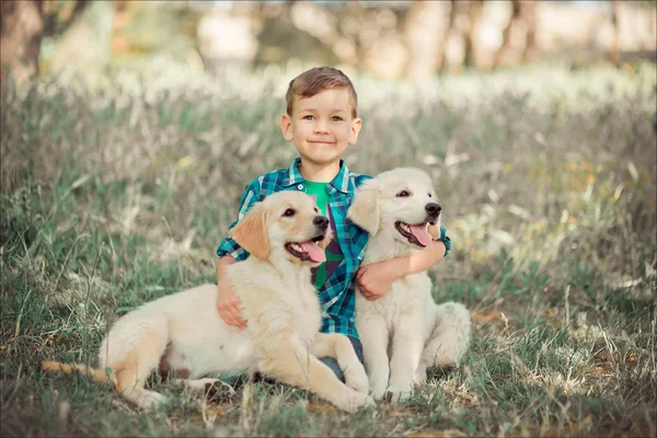 Aranyos csinos fiú tini, kék szeme, szabadtéri játék csodálatos fehér rózsaszín labrador Vizsla kölyök élvezi nyári napos nyaralás hétvége a teljes boldogságot. Boldog mosolygó gyerek, a legjobb barátja — Stock Fotó