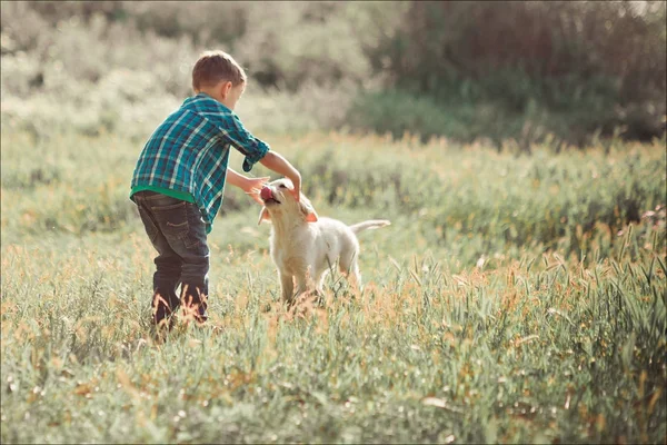 İskambil ile tam Umudunu kaybetme yaz güneşli gün tatil hafta sonu zevk inanılmaz beyaz pembe labrador retriever köpek yavrusu ile açık mavi gözlü yakışıklı yakışıklı genç. En iyi arkadaşı ile gülümseyen çocuk mutlu — Stok fotoğraf