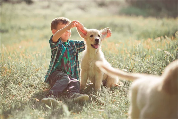 Draguta baiat frumos adolescenta cu ochi albastri joc în aer liber cu uimitor alb roz labrador retriever catelus bucurându-se de vară însorit zi vacanță weekend cu fericire deplină.Happy copil zâmbitor cu cel mai bun prieten — Fotografie, imagine de stoc