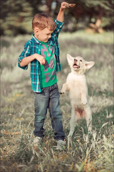 Mignon beau garçon adolescent avec les yeux bleus jouer en plein air avec incroyable blanc rose labrador retriever chiot profiter été ensoleillé jour vacances week-end avec plein happyness.Happy souriant enfant avec meilleur ami — Photo