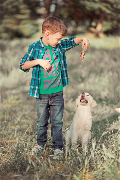 Niedliche hübsche junge Teenager mit blauen Augen spielen im Freien mit erstaunlichen weißen rosa Labrador Retriever Welpen genießen Sommer sonnigen Urlaubstag Wochenende mit voller happyness.happy lächelndes Kind mit bester Freundin — Stockfoto