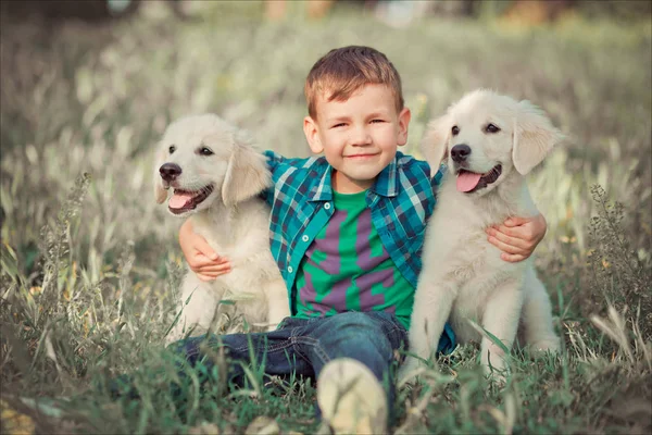 Aranyos csinos fiú tini, kék szeme, szabadtéri játék csodálatos fehér rózsaszín labrador Vizsla kölyök élvezi nyári napos nyaralás hétvége a teljes boldogságot. Boldog mosolygó gyerek, a legjobb barátja — Stock Fotó