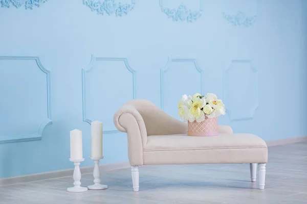 室内模拟照片。蓝墙带皮料沙发和花盆用植物花和梯子。带有文本复制空间的背景照片. — 图库照片
