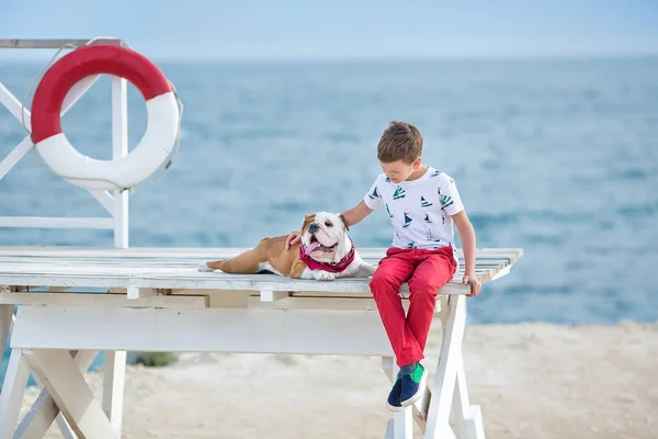 Chico guapo adolescente felizmente pasar tiempo junto con su amigo bulldog en el lado del mar Niño perro celebración jugando dos estrellas de mar cerca de la vida boya flotador con pantalones rojos pantuflas zapatillas y camiseta — Foto de Stock