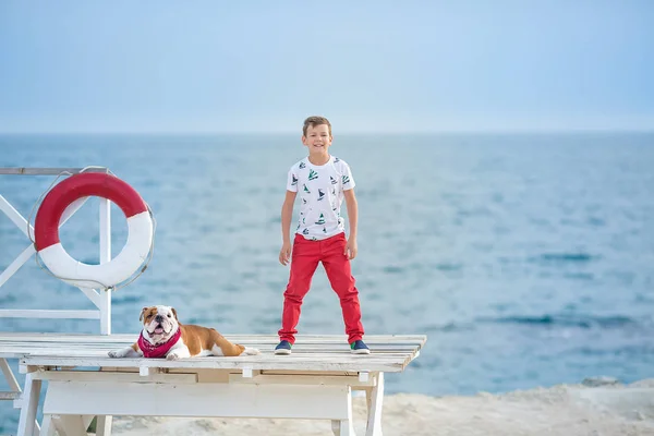 Chico guapo adolescente felizmente pasar tiempo junto con su amigo bulldog en el lado del mar Niño perro celebración jugando dos estrellas de mar cerca de la vida boya flotador con pantalones rojos pantuflas zapatillas y camiseta — Foto de Stock