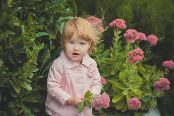 Дитяча мила дівчина з світлим волоссям і рожевим яблучним щокою насолоджується весняним осіннім часом свята позує в красивому саду, повний квітів у ручках сорочки — стокове фото