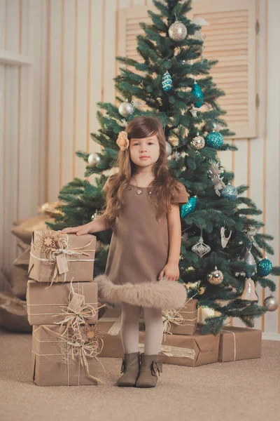 Joven morena muñeca dama chica elegante vestido acogedor abrigado invierno gris chaqueta con piel posando sentado en el estudio cerca de árbol de Año Nuevo de Navidad y regalos . — Foto de Stock