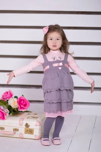 Pippin girl with pout lips stylish dressed in pink gray dress happyly smiling posing to camera in modern showroom studio with travelling trunk and rose flowers. — Stock Photo, Image