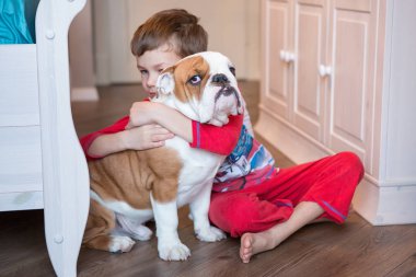 İngilizce bulldog şık ev hayatın tadını