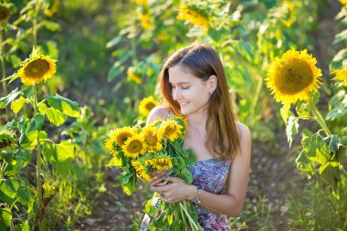 Sevimli güzel genç kız hanımefendi kadın büyük ayçiçeği olan bir alana oturan. Renkli giyiyor mavi gözlü esmer yeşil sarı çiçek blossom dale lea üzerinde İtalyan Livorno güneş Bone şapka elbise.