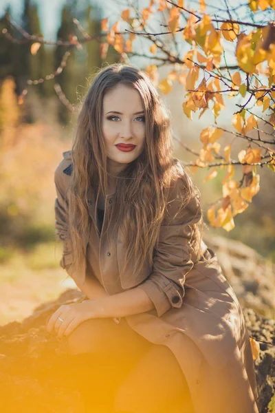 Sexy chica increíble chica ingeniosa elegante vestida con chaqueta de otoño con pelos rubios y pucheros labios rojos con maquillaje cara posando sentarse para la cámara en el parque central primavera bosque pradera — Foto de Stock