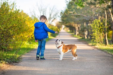 Sevimli yakışıklı şık çocuk ile onun en iyi arkadaşı kırmızı ve beyaz renkli sonbahar park zevk İngilizce boğa köpek. Yakışıklı bulldog ormandaki birlikte sahne Delightfull. Genç genç gülümseyen .