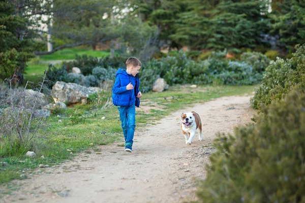 Niedlichen schönen stilvollen Jungen genießen bunten Herbst Park mit seinem besten Freund rot-weißen englischen Bulldog.reizvolle Szene des hübschen Jungen zusammen mit Bulldogge im Wald. Jugendlicher lächelt . — Stockfoto