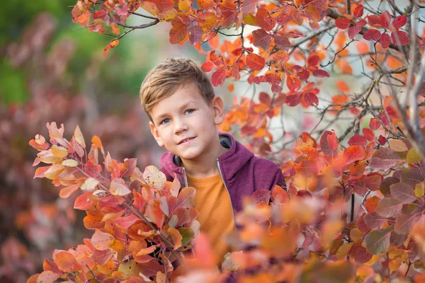 Niedlichen schönen stilvollen Jungen genießen bunten Herbst Park mit seinem besten Freund rot-weißen englischen Bulldog.reizvolle Szene des hübschen Jungen zusammen mit Bulldogge im Wald. Jugendlicher lächelt . — Stockfoto