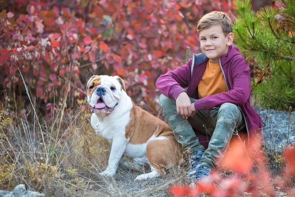 可爱的英俊的时髦男孩享受五颜六色的秋天公园与他的最好的朋友红色和白色英国公牛狗。Delightfull 在森林里与斗牛犬一起的漂亮男孩的场面。年轻的少年微笑 . — 图库照片
