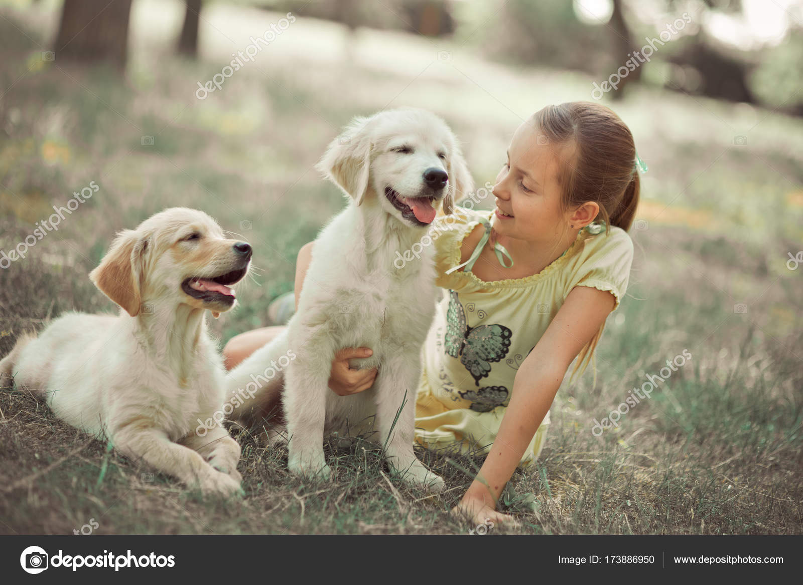 Droll Cutest Labrador Puppies In The World l2sanpiero