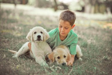 Av köpeği yavru güzel sahne handsom genç çocuk en iyi arkadaş köpek Fildişi beyaz labrador köpek yavrusu ile yaz saati tatil keyfi. Hayaller dünyasında mutlu airily dikkatsiz çocukluk hayatı