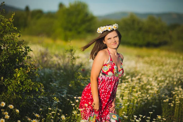 Encantador adorável jovem senhora escuro morena cabelos e olhos verdes concurso sexy posando com flores coroa na cabeça superior e enorme buquê de camomila margarida selvagem vestindo vestido elegante . — Fotografia de Stock