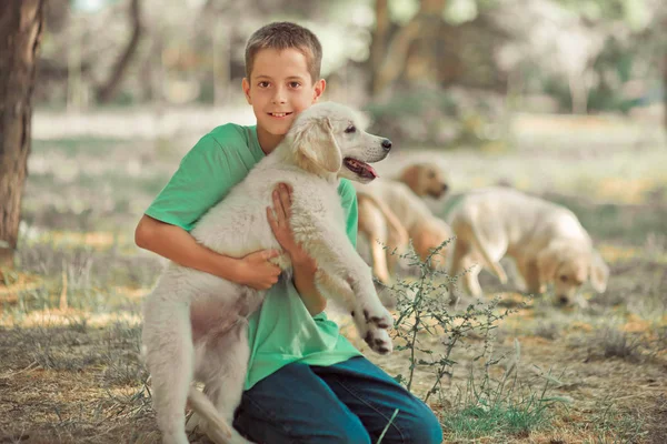 猎犬可爱的场景帅少年男孩享受暑假与最好的朋友狗象牙白色拉布拉多小狗。地无忧无虑的童年生活在梦幻世界 — 图库照片