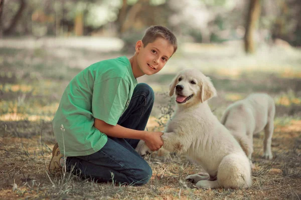 レトリーバーの子犬を素敵なシーン ホットビュー十代の少年最高友人犬アイボリー白のラブラドール子犬と夏季休暇を楽しんでします。夢の世界で幸せな取り澄まし不注意な幼年期の生活 — ストック写真
