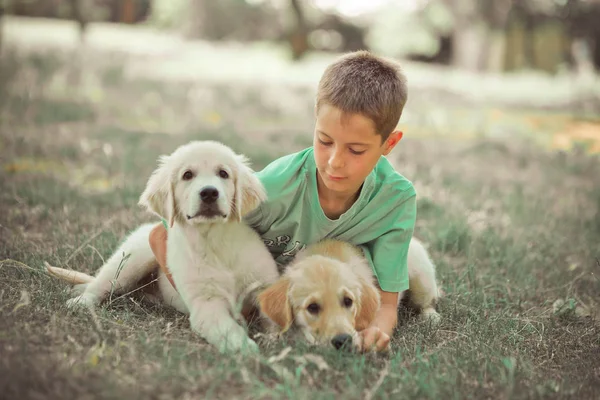 Retrívr štěně krásná scéna handsom teen boy líbí letní čas dovolené s nejlepší přítel psa slonovina bílých labrador štěně. Šťastný život bezstarostně neopatrný dětství ve světě snů — Stock fotografie