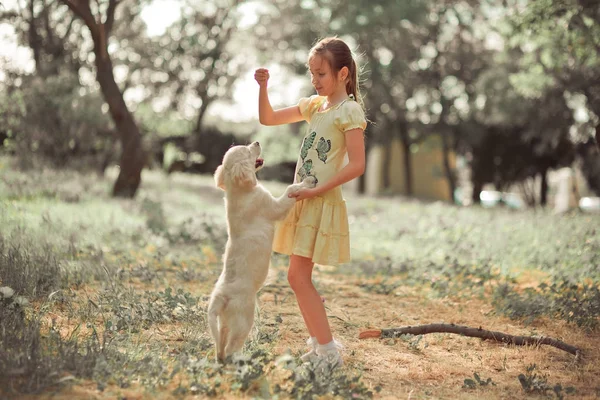 Vizsla kölykök szép jelenet aranyos fiatal teen lány élvező jelentő nyári idő a nyaralás a legjobb barátja a kutya elefántcsont fehér labrador kiskutya. Boldog könnyedén gondatlan gyermekkori élet világ az álmok, a kölykök — Stock Fotó