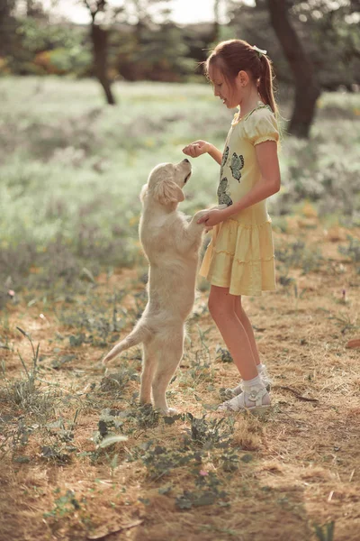 レトリーバーの子犬を素敵なシーンかわいい若い十代の少女犬アイボリー白のラブラドール子犬の親友で夏季休暇をポーズを楽しんでします。子犬との夢の幸せな取り澄まし不注意な幼年期の生活世界 — ストック写真