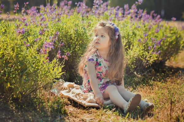 Барвиста літня сцена милої рунета молода дівчина дитина насолоджується вільним часом у полі лісових квітів у стильній крихітній сукні на сонячному лузі — стокове фото
