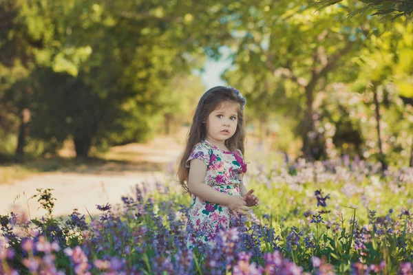 Colorata scena estiva di runette carino giovane ragazza bambino godendo il tempo libero nel campo di fiori selvatici foresta indossando elegante vestitino sul prato soleggiato — Foto Stock