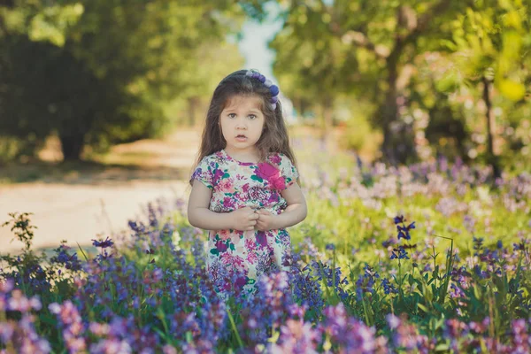 Scène d'été colorée de mignon runette jeune fille enfant profiter du temps libre dans la forêt sauvage champ de fleurs portant élégante petite robe sur prairie ensoleillée — Photo