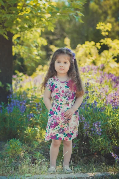 Scène d'été colorée de mignon runette jeune fille enfant profiter du temps libre dans la forêt sauvage champ de fleurs portant élégante petite robe sur prairie ensoleillée — Photo