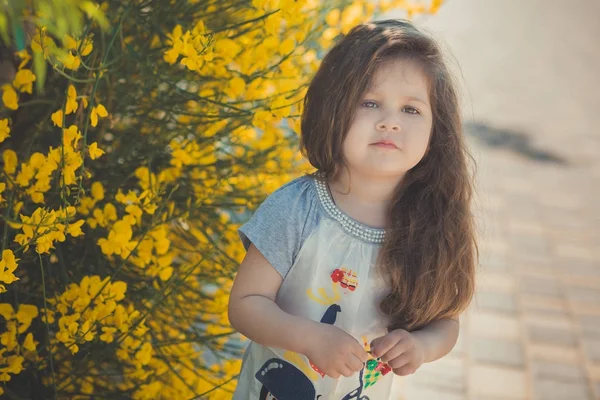 Joyeux enfant fille posant pendant les vacances d'été près de fleurs du parc jaune — Photo