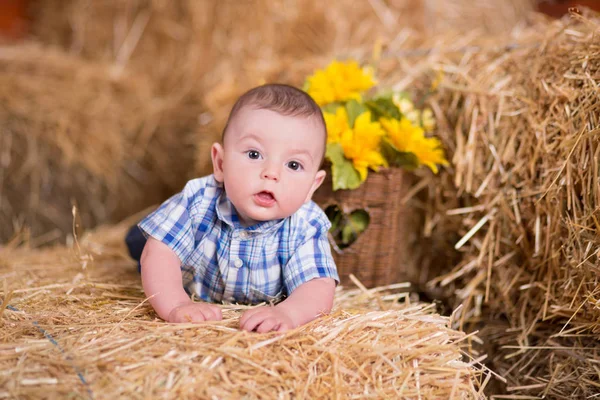 Rustikale Baby-Junge posiert auf Berg von Dorf trockenem Stroh in blauen Jeans und T-Shirt glücklich lächelnd — Stockfoto