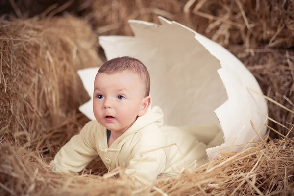 Cute baby noworodka pozowanie w ogromny złamane jaj na suchej słomy w studio unikatowy projekt dekoracji — Zdjęcie stockowe