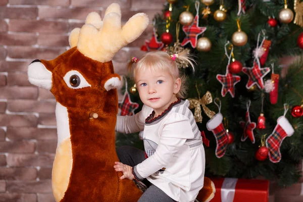 Natal linda menina bonito posando em roupas casuais perto de ano novo pinho árvore verde com almofadas presentes e brinquedo cavalo em cena estúdio — Fotografia de Stock