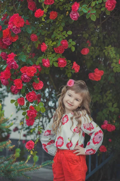 Carino bambina con i capelli biondi ricci e felici occhi luminosi bambino in posa in Central Park vicino a enorme cespuglio di fiori rosso bianco rosa rose che indossano vestiti alla moda estate — Foto Stock