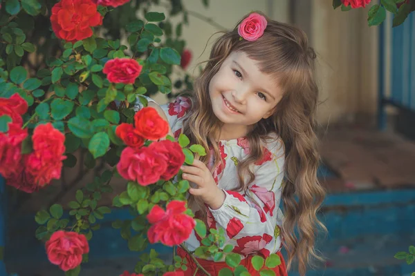 Милая девочка со светлыми вьющимися волосами и счастливыми яркими детскими глазами, позирующими в центральном парке рядом с огромным кустом цветов красные белые розовые розы в летней стильной одежде — стоковое фото