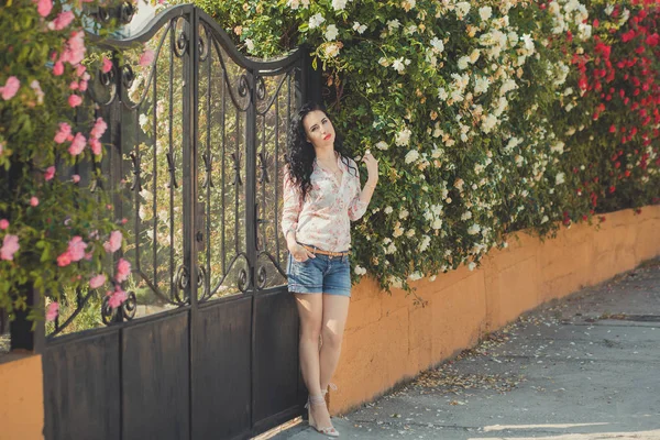 Incroyable femme mystique aux cheveux noirs et bouclés, aux joues roses, aux lèvres rouge foncé, portant une chemise couturier design et un short en jeans bleu avec ceinture marron posant assis pour buisson de fleurs roses. — Photo