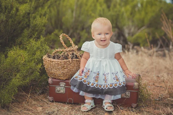Mutlu giyen retro eski stil şirin bebek kız sarı saç ve mavi gözleri modaya uygun beyaz elbise central Park'ta sepet çam fıstığı dolu çantayla gövde üzerinde oturan yeşil ağaç bush arasında gülümseyerek poz — Stok fotoğraf