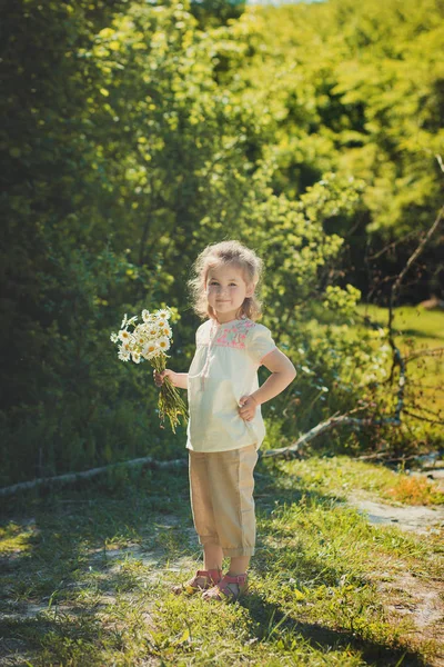 सुंदर सुनहरे बालों वाली युवा लड़की बच्चे स्टाइलिश सफेद शर्ट में पहने हुए डेज़ी चम्मचों के मुकुट पहने हुए जंगल जंगली मेवेड के मैदान पर खड़ा है। सुंदर दृश्य — स्टॉक फ़ोटो, इमेज