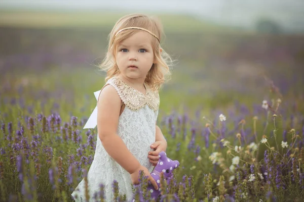 Bonito pouco bebê blong menina andando posando no prado de floresta selvagem lavanda vestindo elegante branco drerss e segurando roxo balo cesta ursinho amigo em minúsculas mãos sozinho . — Fotografia de Stock